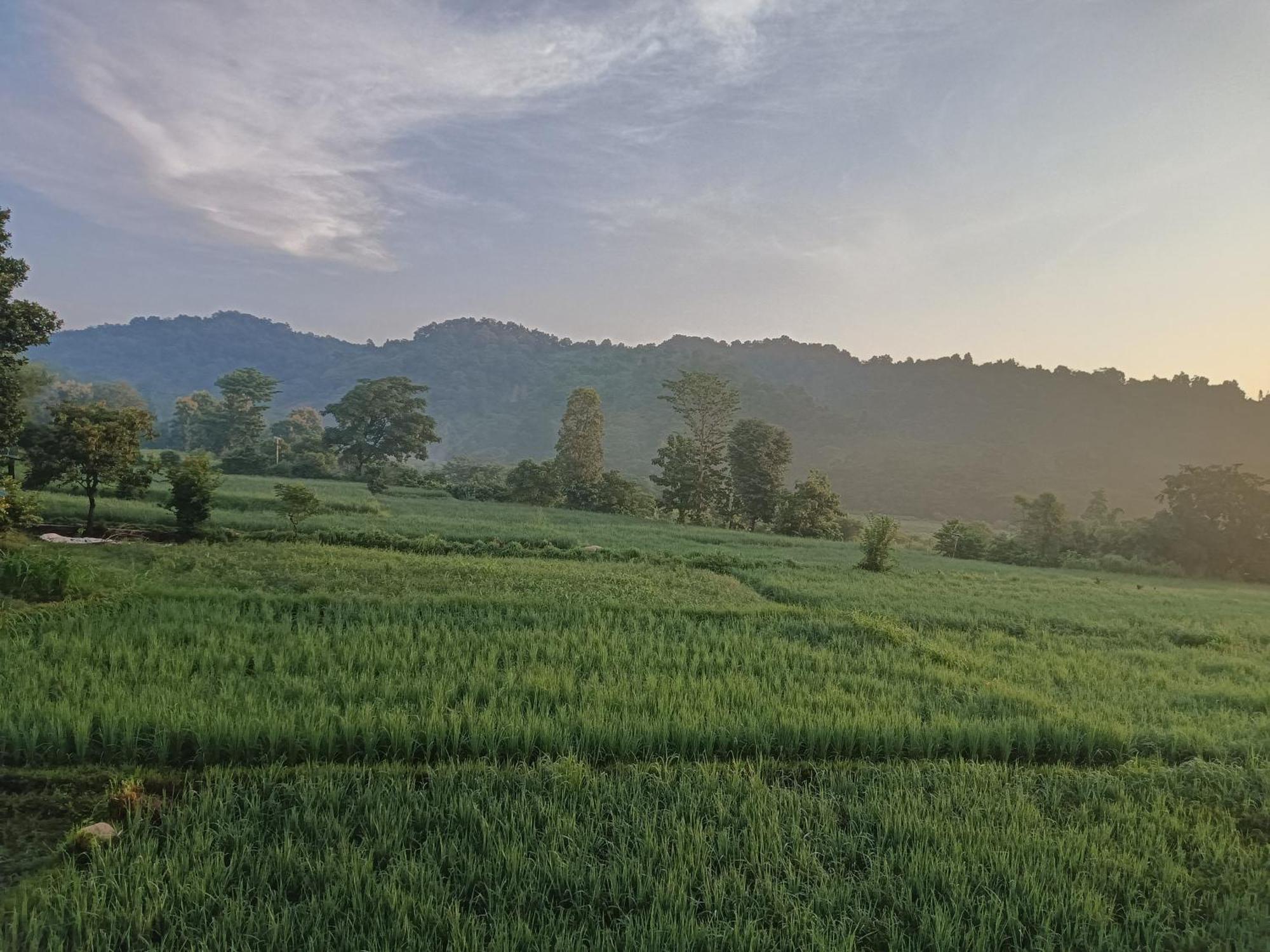 Corbett Rejoice